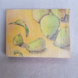 Carol Binns-Wood pear drawing 2020