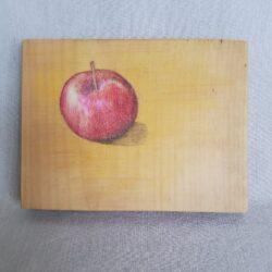 Carol Binns-Wood drawing apple 2020
