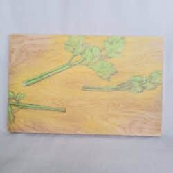 Carol Binns-Wood drawing 2020 celery