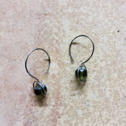 Ann Wylie Toal earrings op1 nc2 $30