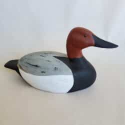 Peter Wakely canvas back bird 1