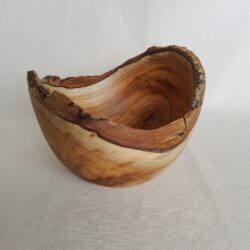 Dan Gingerich bowl 2